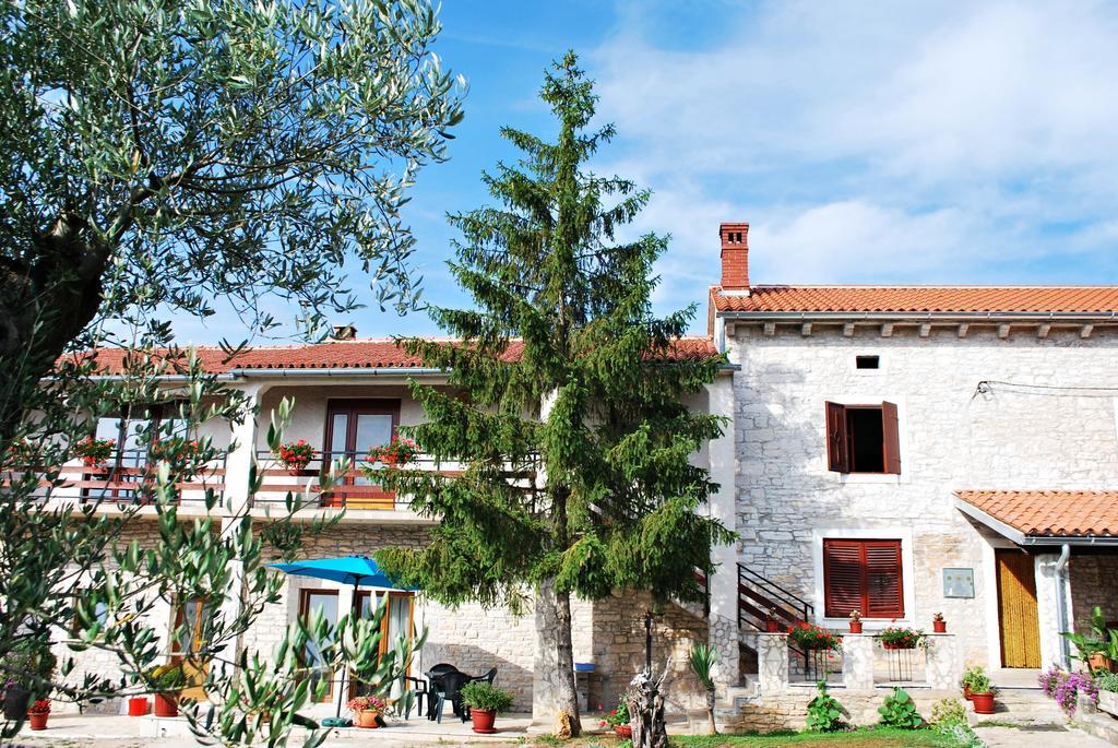 Apartment Mateo Šajini Oda fotoğraf