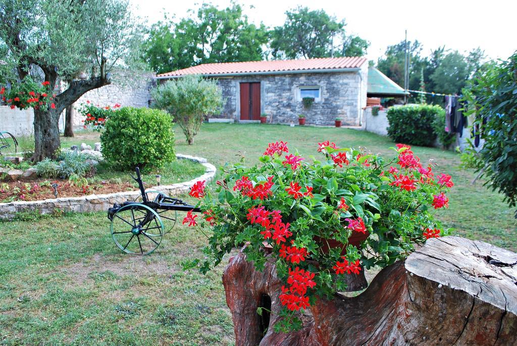 Apartment Mateo Šajini Oda fotoğraf