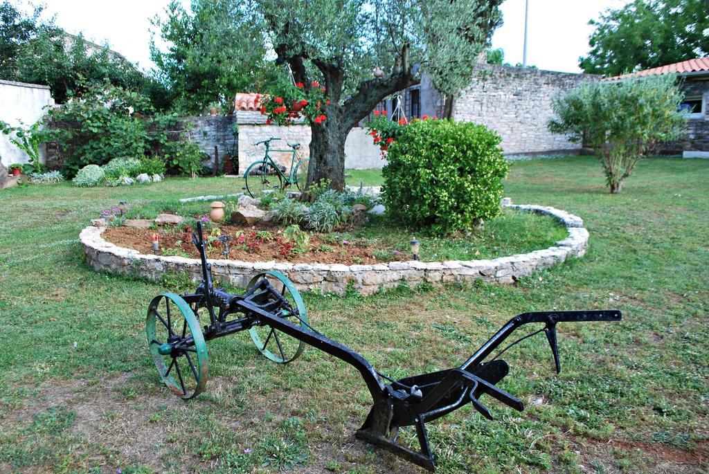 Apartment Mateo Šajini Oda fotoğraf